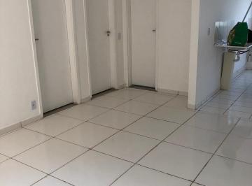 whatsapp-image-2025-04-04-at-16-03-39-31744042519621.jpeg · Imoveis - no Parque Bom Retiro