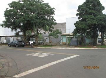 terreno-comercial-para-locacao-jardim-ype-paulinia1684334218970hoyma.jpg · Imoveis - no Jardim Ypê