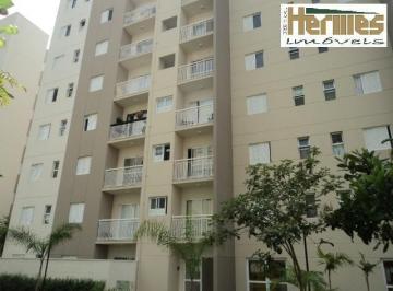 apartamento-residencial-para-locacao-morumbi-paulinia1684334610681luire.jpg · Imoveis - no Morumbi
