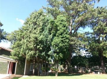 chacara-residencial-a-venda-jardim-ype-paulinia1684332850900dvspu.jpg · Imoveis - no Jardim Ypê