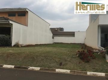 terreno-residencial-a-venda-jardim-ype-paulinia1684333377278kblws.jpg · Imoveis - no Jardim Planalto