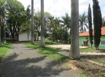 chacara-residencial-a-venda-nova-veneza-paulinia1684332858862usidv.jpg · Imoveis - em Nova Veneza