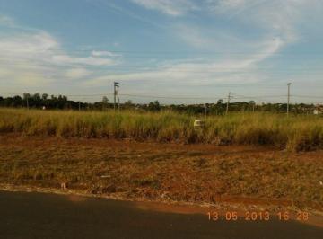 terreno-a-venda-250-07m-saltinho-paulinia-sp1684334699877ywzot.jpg · Imoveis - em Saltinho