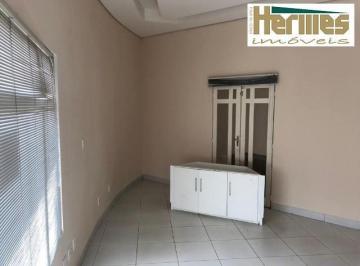 sala-para-locacao-1-vaga-45m-jardim-america-paulinia-sp-galeria-genesis1684333206433ucuus.jpg · Imoveis - no Jardim América