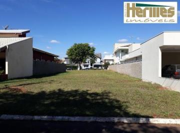terreno-residencial-a-venda-betel-paulinia1684333440744lbife.jpg · Imoveis - em Betel
