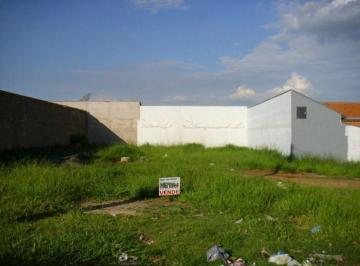 terreno-residencial-a-venda-joao-aranha-paulinia1684334925711tyjmf.jpg · Imoveis - em João Aranha