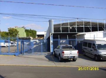 galpao-comercial-para-locacao-vila-jose-paulino-nogueira-paulinia1684331518768bbwji.jpg · Imoveis - na Vila José Paulino Nogueira