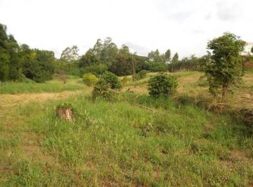 area-a-venda-15000-m-por-r-7-000-000-00-jardim-dos-calegaris-paulinia-sp1684331613665obgtn.jpg · Imoveis - no Jardim dos Calegaris