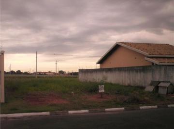 terreno-residencial-a-venda-vila-monte-alegre-iv-paulinia1684333057621sqatj.jpg · Imoveis - na Vila Monte Alegre