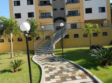 apartamento-residencial-para-locacao-jardim-dos-calegaris-paulinia1684336240584wgwfj.jpg · Imoveis - no Jardim Vista Alegre