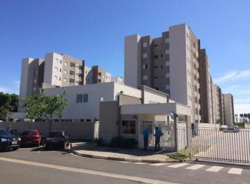 apartamento-com-3-dormitorios-para-alugar-69-m-por-r-1-600-00-mes-premiere-morumbi-paulinia-sp1684335723460pxxno.jpg · Imoveis - no Morumbi