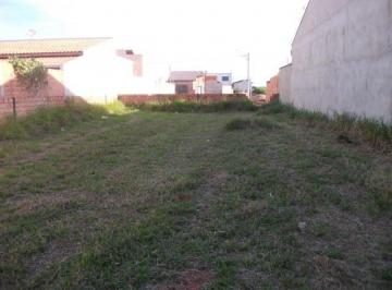 terreno-a-venda-306-m-por-r-180-000-00-sao-jose-ll-paulinia-sp1684332806155gnqgy.jpg · Imoveis - em João Aranha
