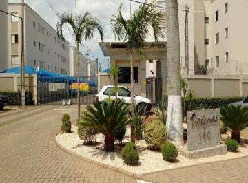 apartamento-residencial-para-locacao-jardim-flamboyant-paulinia1684335280556rmlwe.jpg · Imoveis - no Jardim Flamboyant
