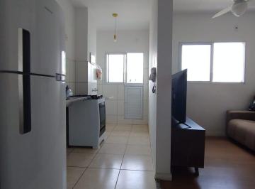 whatsapp-image-2024-01-21-at-12-45-24-31705931856851.jpeg · Imoveis - em João Aranha