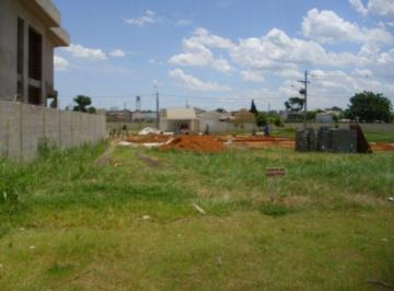 terreno-a-venda-364-5m-jardim-america-paulinia-sp-villa-bella-livorno1684334155464dfqbf.jpg · Imoveis - no Morumbi