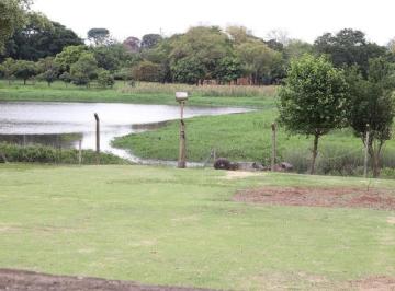 excelente-terreno-a-venda-com-acesso-ao-lago-3772-m-por-r-2-150-000-santa-terezinha-paulinia-sp-oportunidade1684331971560ccpfy.jpg · Imoveis - em Santa Terezinha