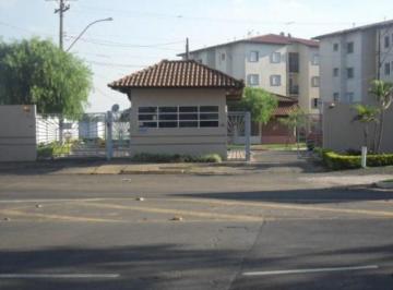apartamento-residencial-a-venda-jardim-ype-paulinia1684336333045gsclo.jpg · Imoveis - em João Aranha