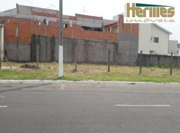 terreno-a-venda-e-locacao-320m-joao-aranha-paulinia-sp1684333446969oumjl.jpg · Imoveis - em João Aranha