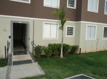 apartamento-residencial-para-locacao-vila-monte-alegre-paulinia1684335716452dklyc.jpg · Imoveis - na Vila Monte Alegre