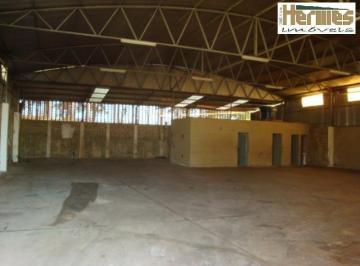 barracao-comercial-para-locacao-vila-bressani-paulinia1684332318650pvzkt.jpg · Imoveis - na Vila Bressani