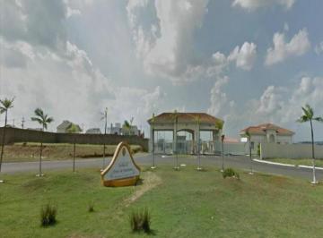 terreno-residencial-a-venda-jardim-planalto-paulinia1684334529559chjhg.jpg · Imoveis - no Jardim Ouro Negro