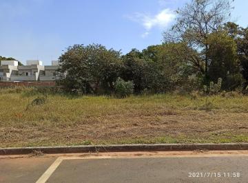excelente-terreno-para-residencia-em-otima-localizacao-totalmente-plano-aceita-financiamento-pronto-para-construir-308-m21684332430783tmqgx.jpg · Imoveis - no Morumbi