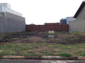 terreno-a-venda-250-m-por-r-202-500-00-alto-do-mirante-paulinia-sp1684332540614oddjv.jpg · Imoveis - em Saltinho