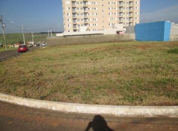 terreno-a-venda-423-8m-parque-bom-retiro-paulinia-sp1684333803714wvqdp.jpg · Imoveis - no Parque Bom Retiro
