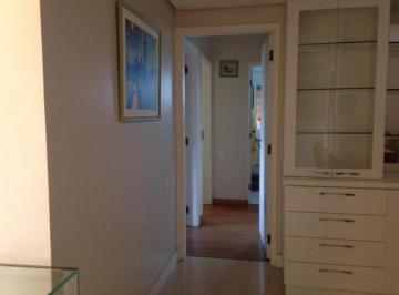 apartamento-residencial-para-locacao-centro-campinas1684336511068pzksg.jpg · Imoveis - no Centro