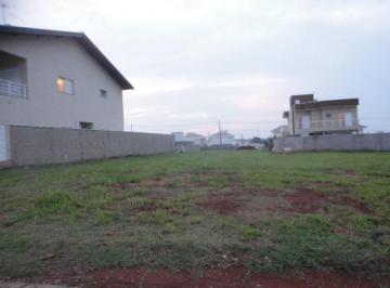 terreno-a-venda-390m-jardim-ype-paulinia-sp-condominio-terras-do-cancioneiro1684333889041dbele.jpg · Imoveis - no Jardim Ypê