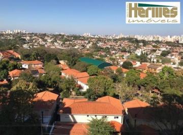 apartamento-para-locacao-3-quartos-1-suite-2-vagas-90m-jardim-das-paineiras-campinas-sp-place-vendrome1684336388209qcffk.jpg · Imoveis - no Jardim das Paineiras