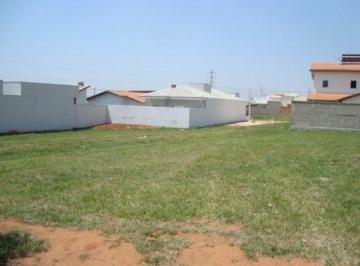 terreno-a-venda-250m-jardim-planalto-paulinia-sp-condominio-terras-do-fontanario1684334338958ydjpd.jpg · Imoveis - no Jardim Ouro Negro
