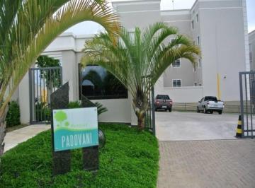 apartamento-residencial-para-locacao-vila-monte-alegre-paulinia1684335929119vssee.jpg · Imoveis - na Vila Monte Alegre