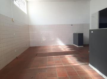31695820019339.jpg · Imoveis - no Jardim Vista Alegre