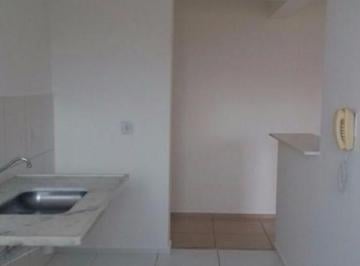 apartamento-residencial-para-locacao-jardim-vista-alegre-paulinia1684335548905bcxqu.jpg · Imoveis - no Jardim Vista Alegre