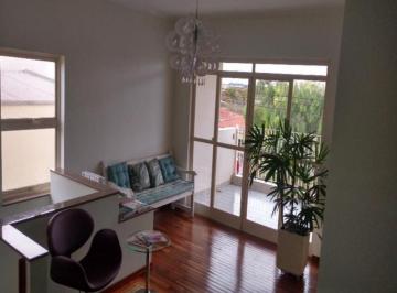 sala-comercial-para-locacao-jardim-dos-calegaris-paulinia1684332628570nnstg.jpg · Imoveis - no Jardim dos Calegaris