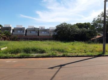 terreno-a-venda-325-m-por-r-230-000-00-morumbi-paulinia-sp1684332903129hemdi.jpg · Imoveis - no Morumbi