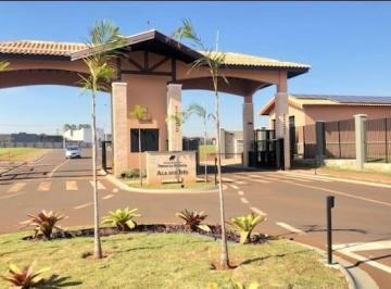 terreno-a-venda-200-m-por-r-250-000-vila-monte-alegre-paulinia-sp1684332044450pmunv.jpg · Imoveis - na Vila Monte Alegre