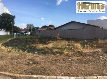 terreno-para-locacao-725-9m-jardim-america-paulinia-sp1684333644314hkkwm.jpg · Imoveis - no Jardim América