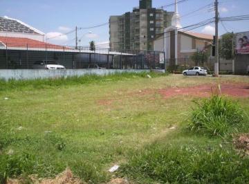 terreno-para-locacao-352-5m-jardim-dos-calegaris-paulinia-sp1684334468610shkbm.jpg · Imoveis - no Jardim dos Calegaris