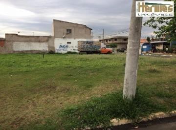 terreno-para-alugar-642-m-por-r-3-000-00-joao-aranha-paulinia-sp1684333416047vdzro.jpg · Imoveis - em João Aranha