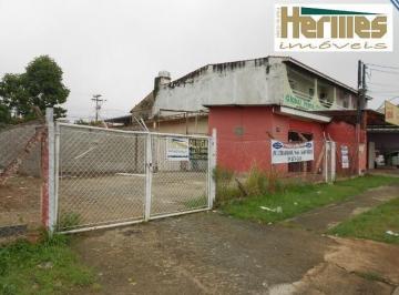 terreno-comercial-para-locacao-jardim-planalto-paulinia1684333195648oznjd.jpg · Imoveis - no Jardim Ouro Negro
