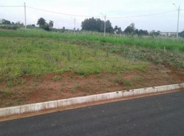 terreno-residencial-a-venda-bairrinho-artur-nogueira1684334002337qsfoq.jpg · Imoveis - em Artur Nogueira