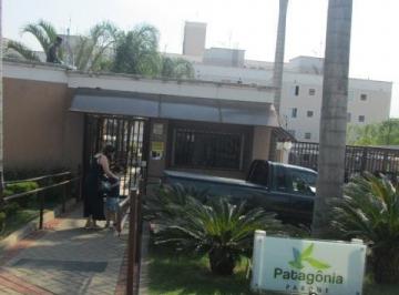 apartamento-com-2-dormitorios-48-m-venda-por-r-230-000-00-ou-aluguel-por-r-1-100-00-mes-residencial-patagonia-paulinia-sp1684333568136rctlw.jpg · Imoveis - na Vila Monte Alegre