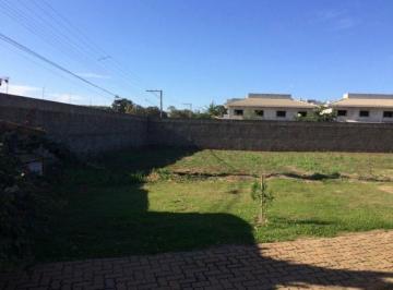 terreno-residencial-a-venda-jardim-ype-paulinia1684333967918ajzcw.jpg · Imoveis - no Morumbi