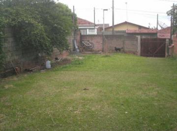 casa-residencial-para-locacao-jardim-ype-paulinia1684336652395mpuiq.jpg · Imoveis - no Jardim Ypê
