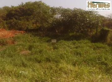 terreno-residencial-a-venda-joao-aranha-paulinia1684333412462xeozc.jpg · Imoveis - em Marieta Dian