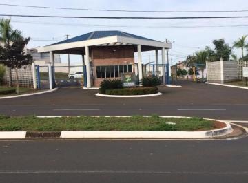 terreno-a-venda-30-m-por-r-195-000-00-condominio-raizes-paulinia-sp1684333959169drucc.jpg · Imoveis - no Jardim Planalto