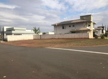 terreno-ideal-para-a-construcao-da-casa-que-voce-sempre-sonhou1684332209077foops.jpg · Imoveis - no Jardim de Itapoan