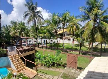 91cc2b84-31bd-4f67-b6e4-b7d439fe8ed3.webp · Apartamento para Locação, Stella Maris, Salvador